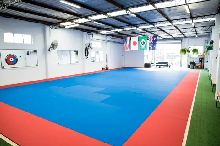 Fuji Tatami Series Mats