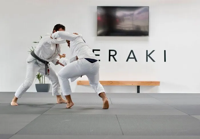 Fuji Tatami Series Mats